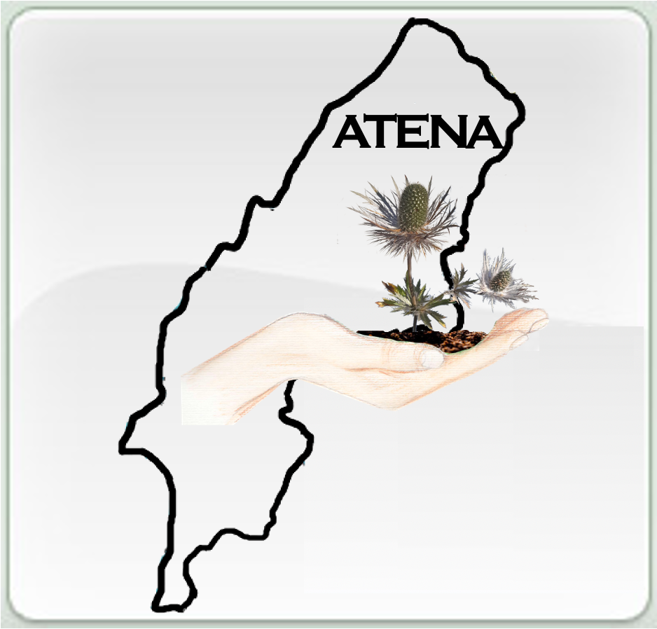 ATENA Pays de Gex